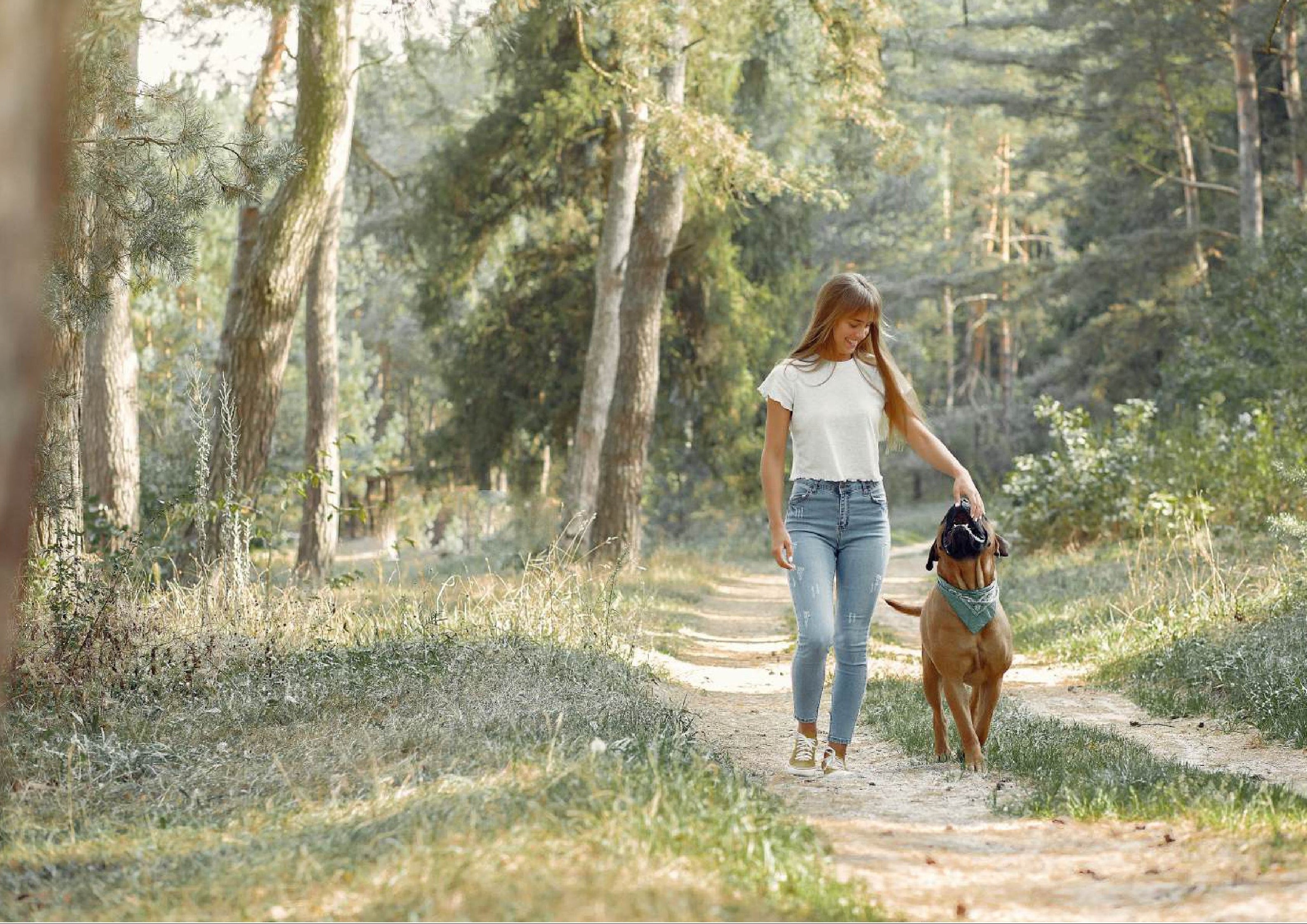 solutiavetpet